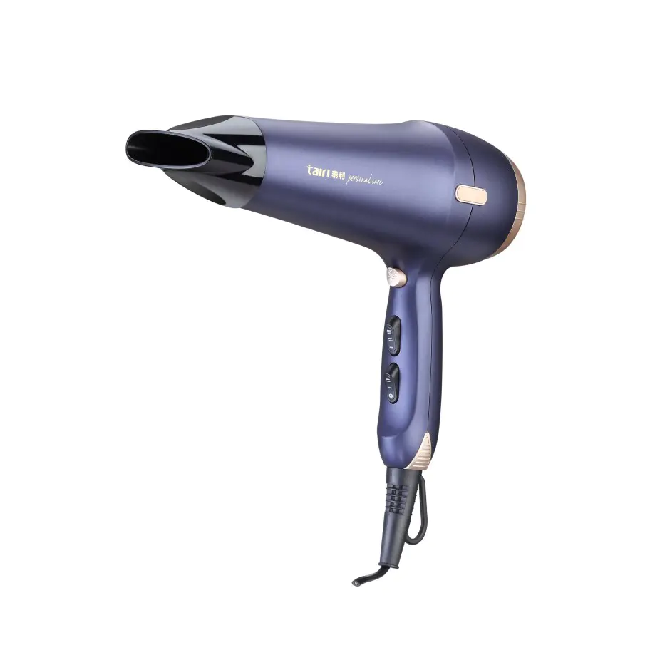HD2002 Hair Dryer