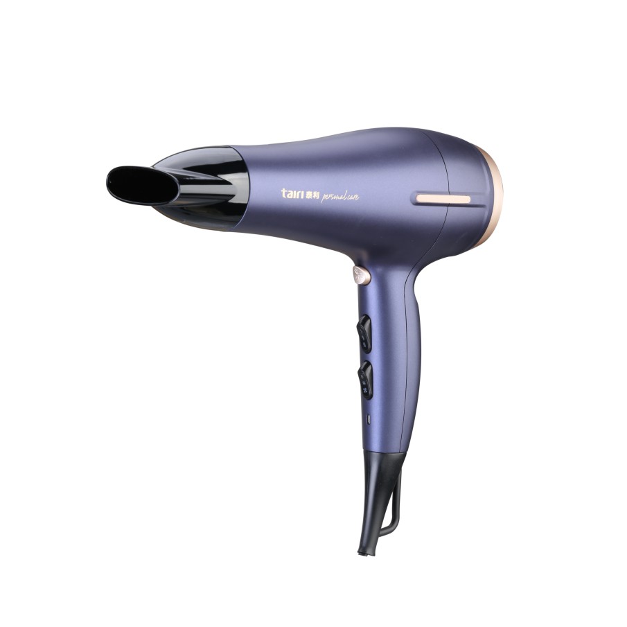 Hd2010 Hair Dryer
