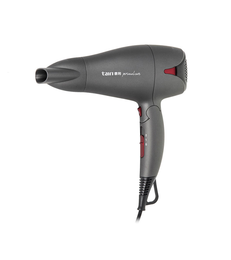 Hd1839 Removable Air Filter Ionic Function Hair Dryer